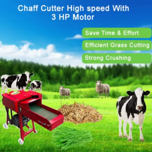 Motorized Chaff Cutter Machine